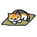 na_catsleepy